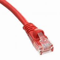Image result for Red Ethernet Cable