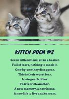 Image result for Love Poems About Cats