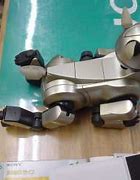 Image result for Aibo Feature
