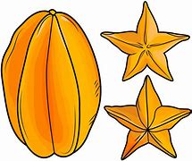 Image result for Star Fruit Clip Art