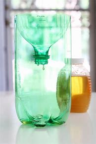 Image result for How Do You Make a Homemade Wasp Trap