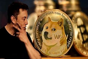 Image result for Saint Elon Musk with Doge