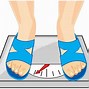 Image result for Mass Weight Scale