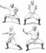 Image result for Hung Gar Kung Fu Styles