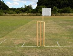 Image result for Cricket Wicket Saying