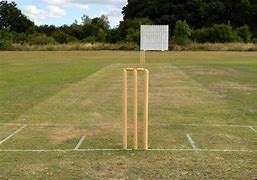 Image result for Cricket Pitch