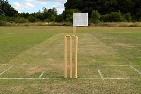 Image result for What Is a Cricket Wicket
