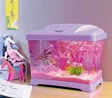 Image result for Pink Fish Tank