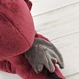 Image result for Red Dragon Plush