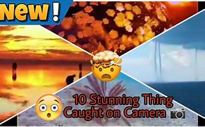 Image result for Amazing Things Caught On Camera