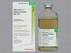 Image result for albuminae