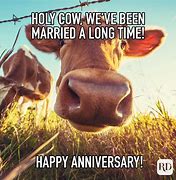 Image result for Marriage Anniversary Funny Meme