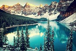 Image result for Calming Forest Background