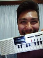 Image result for Electric Synthesizer Akai