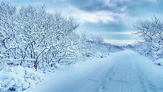 Image result for Snow Scene 4K