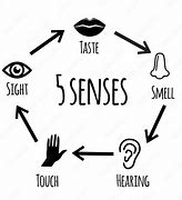 Image result for 5 Senses Vector