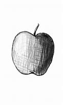 Image result for Still Life Cross-Hatching Apple