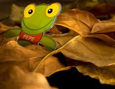 Image result for Pepe Frog Pumpkin