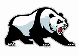 Image result for Panda Roar