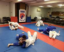 Image result for Kodokan Judo