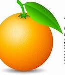 Image result for Orange Fruit Vector
