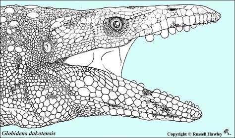 Image result for Alien Alien Nayutalien