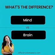 Image result for Difference Between Mind and Brain