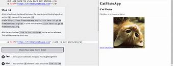 Image result for Cat Photo App Step 5