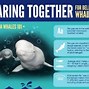 Image result for Beluga Whale Characteristics