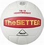 Image result for Volleyballs for Sale