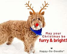 Image result for Merry Christmas Dog Puns