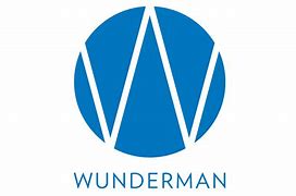 Image result for Wunderman Thompson Logo PNH