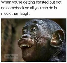 Image result for Memes to Make You Laugh with No Words