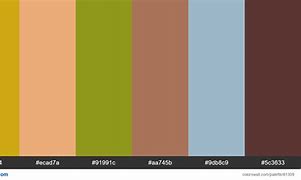 Image result for OS Color Palatte