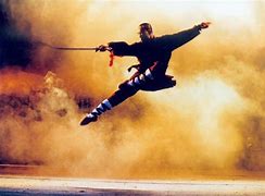 Image result for Chinese Martial Arts Styles