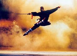 Image result for Chinese Kung Fu Styles