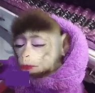 Image result for Monkey with Makeup Meme