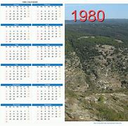 Image result for 1980 Calendar by Month