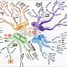 Image result for Working Memory Model Mind Map