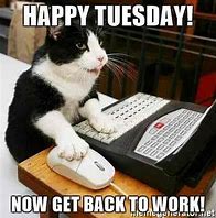 Image result for Tuesday Work Meme Cute
