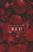 Image result for iPhone 12 Red Wallpaper