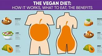 Image result for Difference Between Vegan and Vegetarian