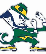 Image result for Notre Dame Leprechaun