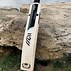 Image result for Vector Cricket Bat Black and White