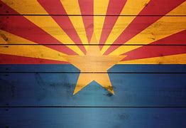 Image result for Arizona Flag Black and White