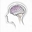Image result for Sihoutte of Brain in Head
