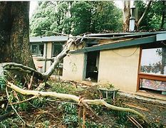 Image result for Sudden Limb Drop