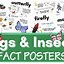 Image result for Fun Bug Facts for Kids