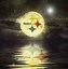 Image result for Funny Steelers Wallpapers