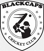 Image result for Royal Challengers Cricket Logo